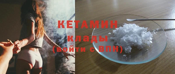 ПСИЛОЦИБИНОВЫЕ ГРИБЫ Горно-Алтайск