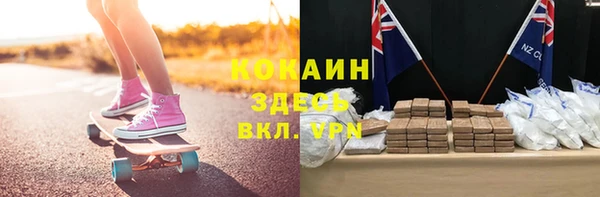 ПСИЛОЦИБИНОВЫЕ ГРИБЫ Горно-Алтайск