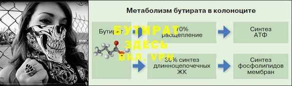 ПСИЛОЦИБИНОВЫЕ ГРИБЫ Горно-Алтайск