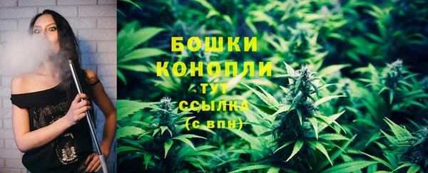 ПСИЛОЦИБИНОВЫЕ ГРИБЫ Горно-Алтайск