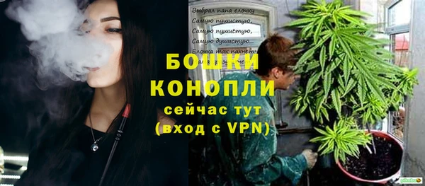 ПСИЛОЦИБИНОВЫЕ ГРИБЫ Горно-Алтайск