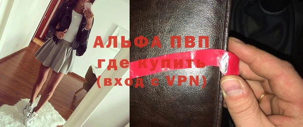ПСИЛОЦИБИНОВЫЕ ГРИБЫ Горно-Алтайск