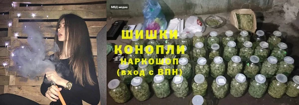 ПСИЛОЦИБИНОВЫЕ ГРИБЫ Горно-Алтайск