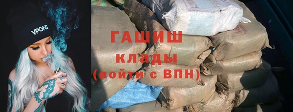 ПСИЛОЦИБИНОВЫЕ ГРИБЫ Горно-Алтайск