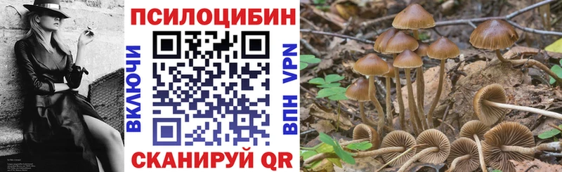 Купить где  Зеленогорск  Галлюциногенные грибы MAGIC MUSHROOMS 