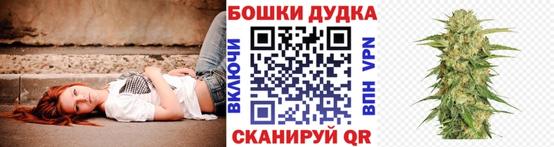 Каннабис THC 21%  Купить где  Зеленогорск 